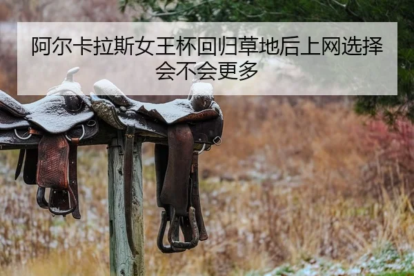 a-er-ka-la-si-nv-wang-bei-hui-gui-cao-di-hou-shang-wang-xuan-ze-hui-bu-hui-geng-duo-2-172.jpg