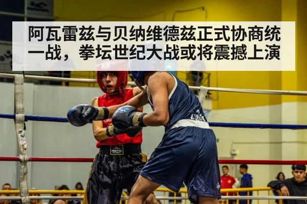 阿瓦雷兹与贝纳维德兹正式协商统一战，拳坛世纪大战或将震撼上演