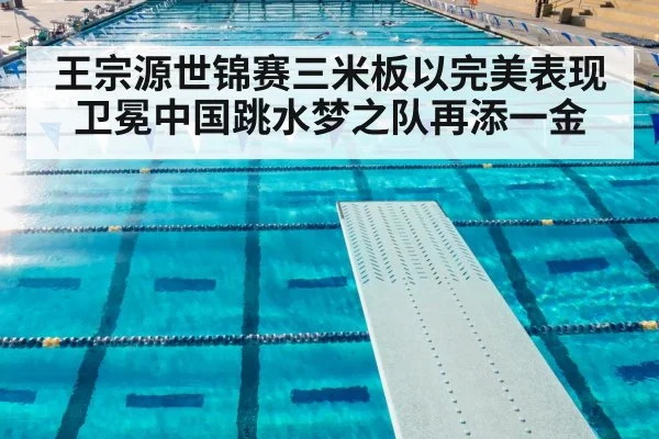王宗源世锦赛三米板以完美表现卫冕中国跳水梦之队再添一金